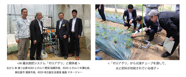 KDDIが東松島市の農作物栽培拠点に農業IoT「ゼロアグリ」を導入　写真