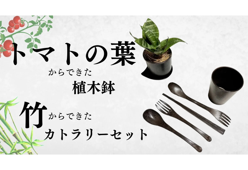 福島県発！捨てられてしまうトマトの葉から植木鉢を。Makuake(マクアケ)にて応援購入サービスを開始