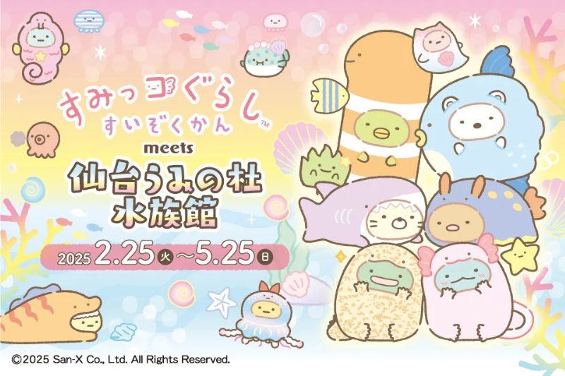 すみっこぐらしが仙台にやって来た！ 「すみっこぐらし meets 仙台うみの杜水族館」が期間限定で開催