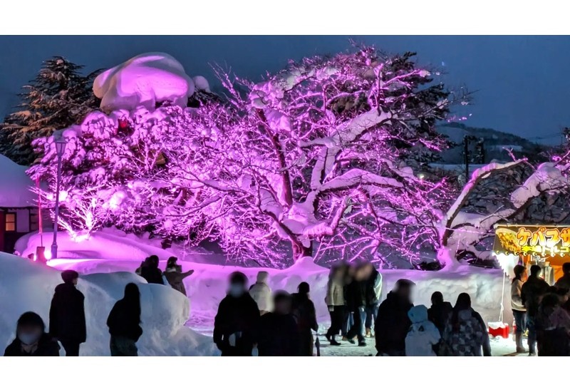 山形県米沢市でピンク色にライトアップされた「雪の桜」が開花 「東北一番桜よねざわプロジェクト」を開催し一足先に春が訪れた