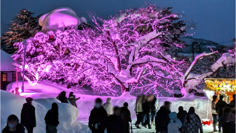 山形県米沢市でピンク色にライトアップされた「雪の桜」が開花 「東北一番桜よねざわプロジェクト」を開催し一足先に春が訪れた