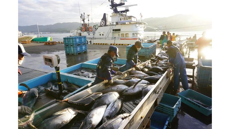 カツオ溜め釣り漁伝来から350年！休暇村気仙沼大島にメモリアルイヤーを記念したプランが登場