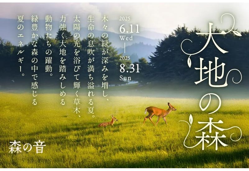 山形の大自然の中で、ヨガや創作料理を堪能して夏の思い出を作ろう！ 「おやど 森の音」特別イベント「大地の森」期間限定で開催中