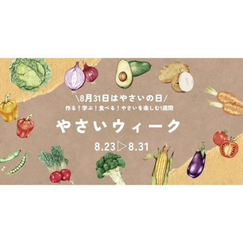 宮城県石巻市でやさいの日にちなんだ秋野菜講習会や詰め放題イベント開催！8月23日（土）から31日（日）「やさいウィーク」