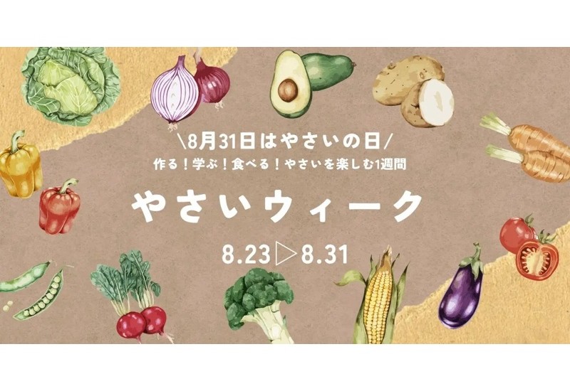 宮城県石巻市でやさいの日にちなんだ秋野菜講習会や詰め放題イベント開催！8月23日（土）から31日（日）「やさいウィーク」