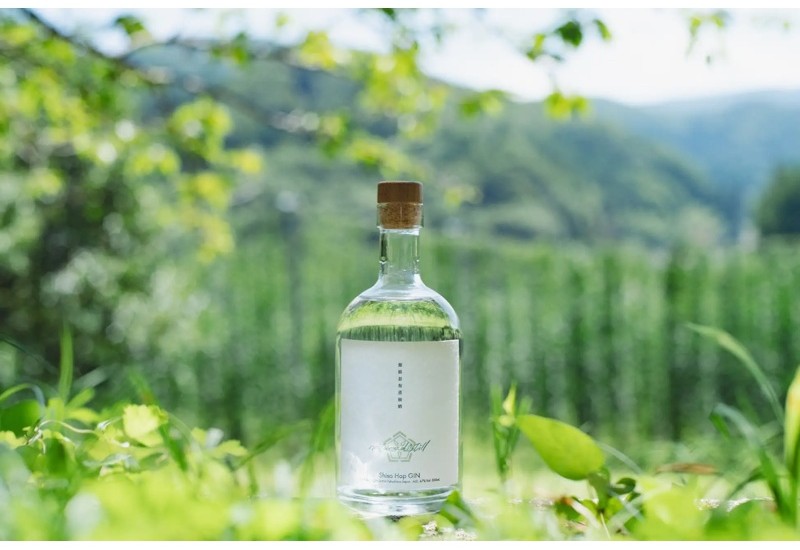 季節限定ジン「naturadistill紫蘇忽布蒸溜酒」新発売！収穫から1時間の採れたてホップで仕込むクラフトジン