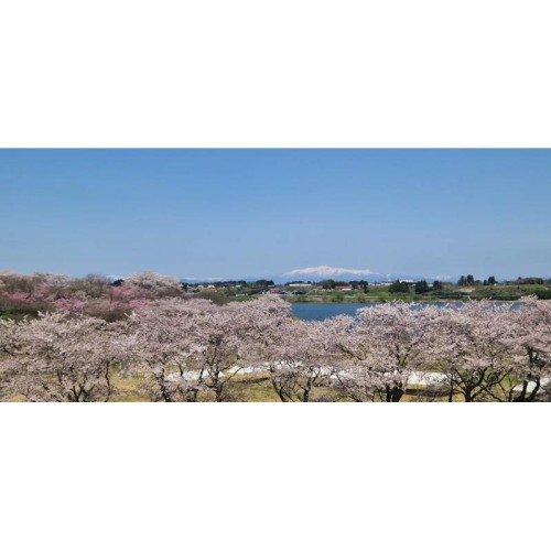 「東北風土マラソン2026」宮城県登米市で4/19開催決定、5kmラン7年ぶり復活