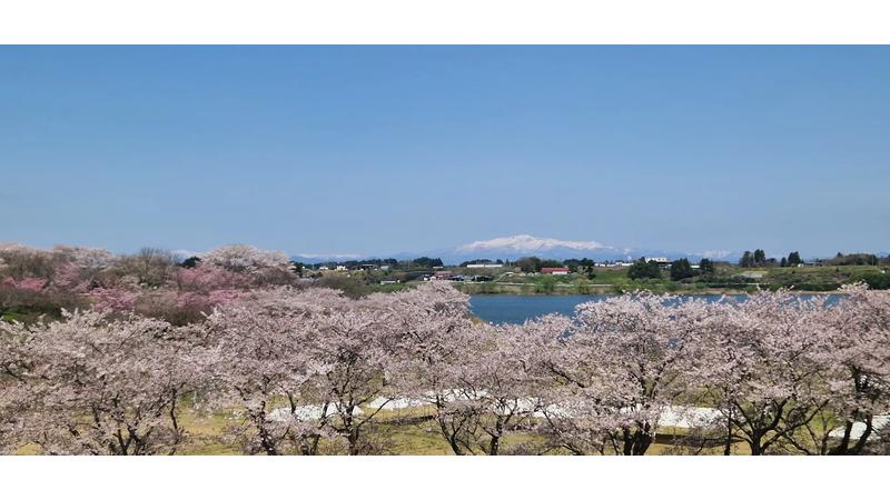「東北風土マラソン2026」宮城県登米市で4/19開催決定、5kmラン7年ぶり復活
