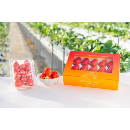 「ゆうやけベリー」を含む福島県産いちごの食べ比べなどを楽しめる 「ゆうやけベリー」のフェアを期間限定で開催