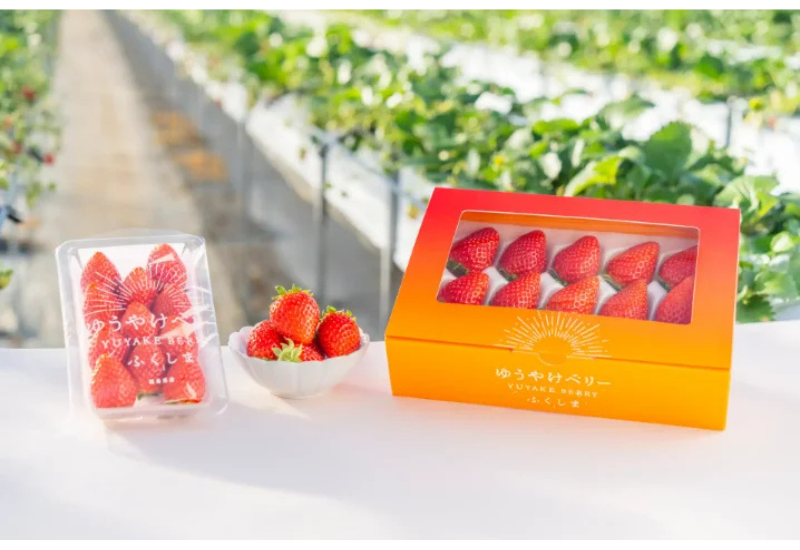 「ゆうやけベリー」を含む福島県産いちごの食べ比べなどを楽しめる 「ゆうやけベリー」のフェアを期間限定で開催
