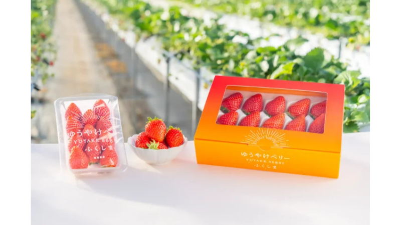 「ゆうやけベリー」を含む福島県産いちごの食べ比べなどを楽しめる 「ゆうやけベリー」のフェアを期間限定で開催