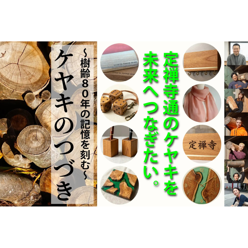 定禅寺通のケヤキ再生プロジェクト始動