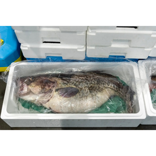 宮古の冬を彩る真鱈の味覚　休暇村陸中宮古で期間限定フェアを2026年1月から開催