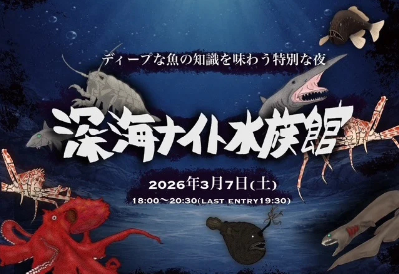 仙台うみの杜水族館でプレミアムナイトイベント「深海ナイト水族館」開催！チケット販売中