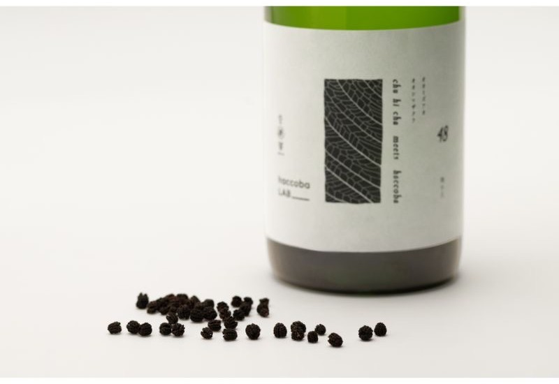 福島の酒造・haccoba、虫秘茶を使った酒『SECRET SPRING』発売