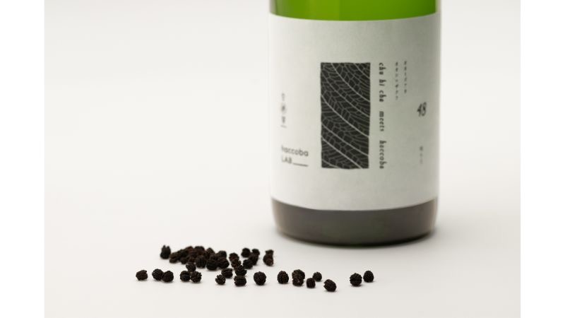 福島の酒造・haccoba、虫秘茶を使った酒『SECRET SPRING』発売