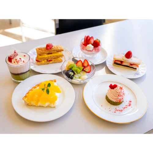 【山形】黒沢温泉おふろcafé yusaと山形学院高校の産学連携プロジェクトから誕生の「八朔のチーズタルト」商品化へ！3月16日から期間限定で販売！