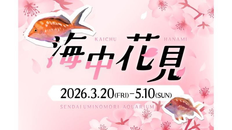 仙台うみの杜水族館が期間限定で開催する海の中のお花見
「海中花見」3月20日から5月10日まで開催