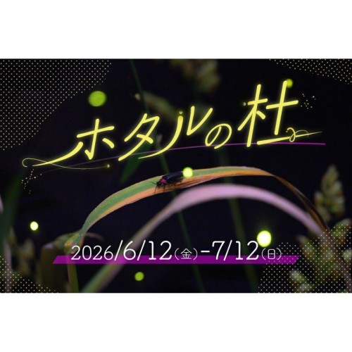 仙台うみの杜水族館でホタルの生態について見て聞いて学べる特別展示 「ホタルの杜」6月12日から7月12日まで期間限定開催