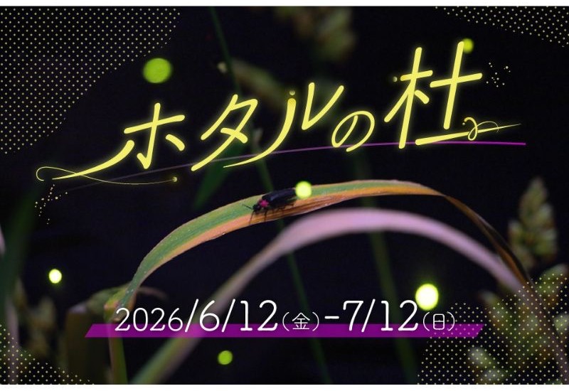 仙台うみの杜水族館でホタルの生態について見て聞いて学べる特別展示 「ホタルの杜」6月12日から7月12日まで期間限定開催
