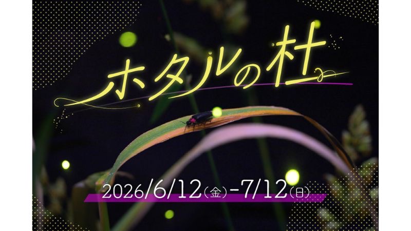 仙台うみの杜水族館でホタルの生態について見て聞いて学べる特別展示
「ホタルの杜」6月12日から7月12日まで期間限定開催