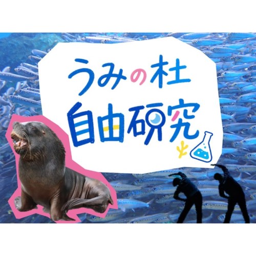 仙台うみの杜水族館で、海の不思議や生き物の生態を楽しく学ぶイベント「うみの杜自由研究」を開催！
