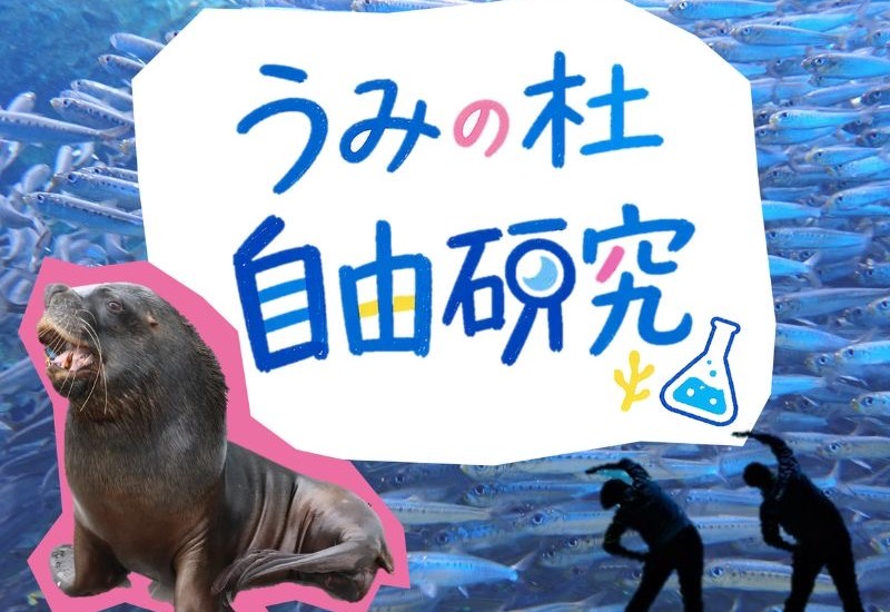 仙台うみの杜水族館で、海の不思議や生き物の生態を楽しく学ぶイベント「うみの杜自由研究」を開催！