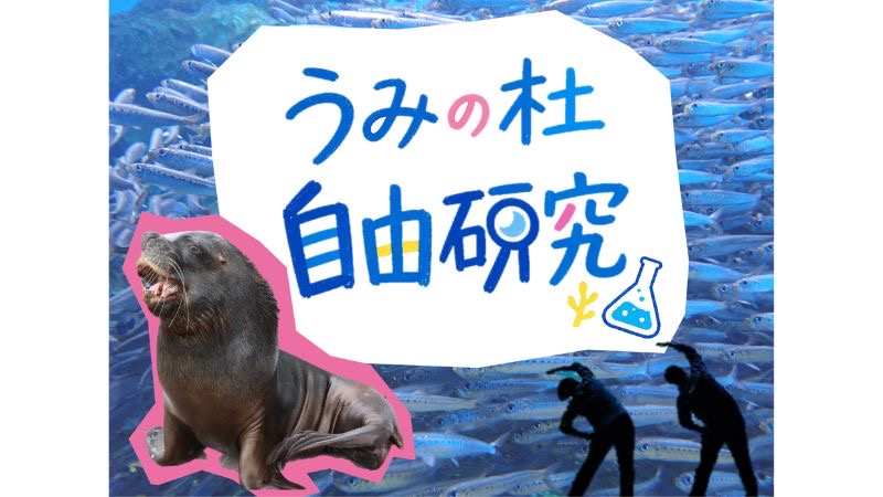 仙台うみの杜水族館で、海の不思議や生き物の生態を楽しく学ぶイベント「うみの杜自由研究」を開催!