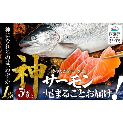 岩手県山田町の三陸で獲れた「オランダ島“神”サーモン」 7月1日（水）から数量限定でふるさと納税返礼品に出品