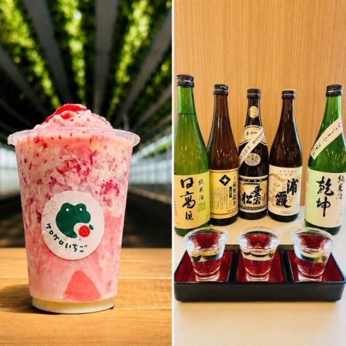 メルキュール宮城蔵王リゾート＆スパが、地酒飲み比べや七ヶ宿町産いちごを使った「いちごけずり」付きプランを販売！11/30まで