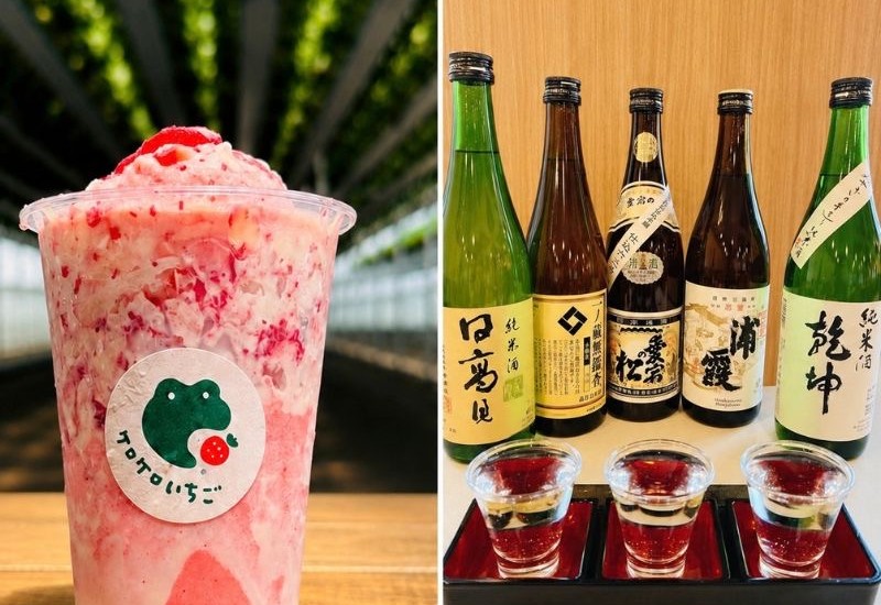 メルキュール宮城蔵王リゾート＆スパが、地酒飲み比べや七ヶ宿町産いちごを使った「いちごけずり」付きプランを販売！11/30まで
