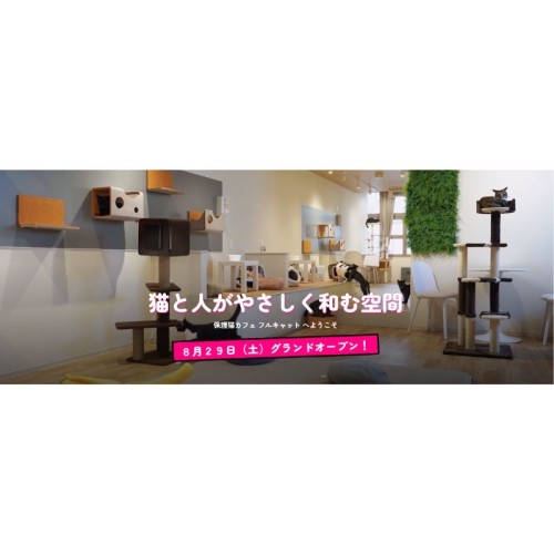 猫と人がともに暮らすまちづくり。老舗猫カフェの想いを継承！保護猫カフェ「フルキャット」がオープン