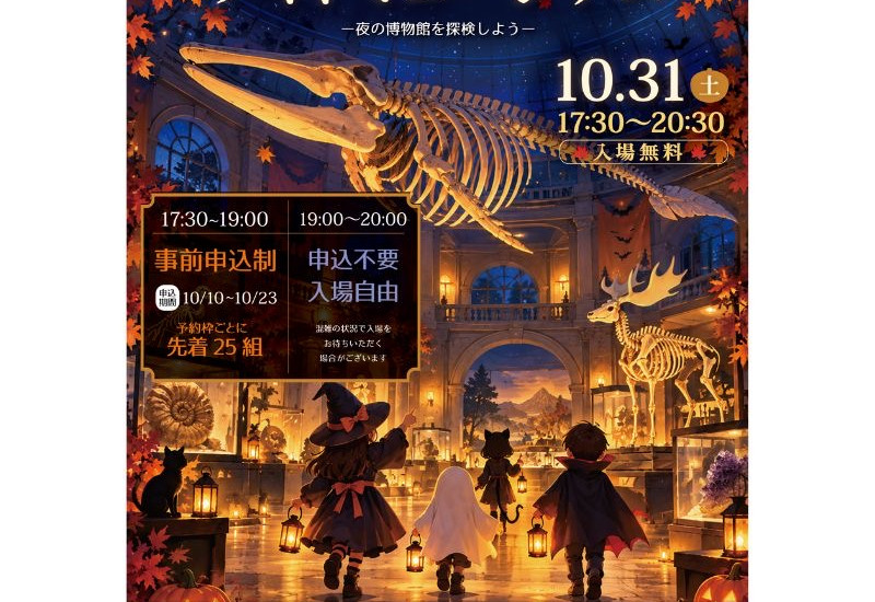 照明を落とした夜の博物館を懐中電灯で探検 山形県立博物館が31日に「ハロウィン・ナイトミュージアム」を開催
